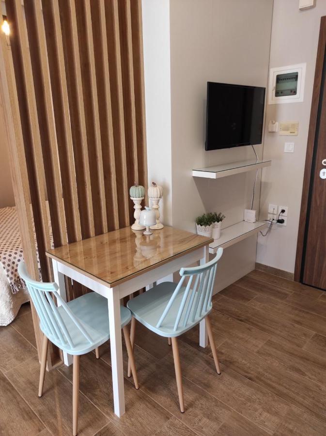 Apartament Central 2